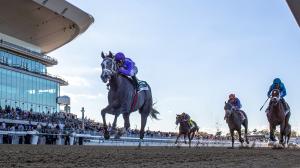 New York Showcase Day, Belmont Park, horse racing, America's Best Racing, ABR